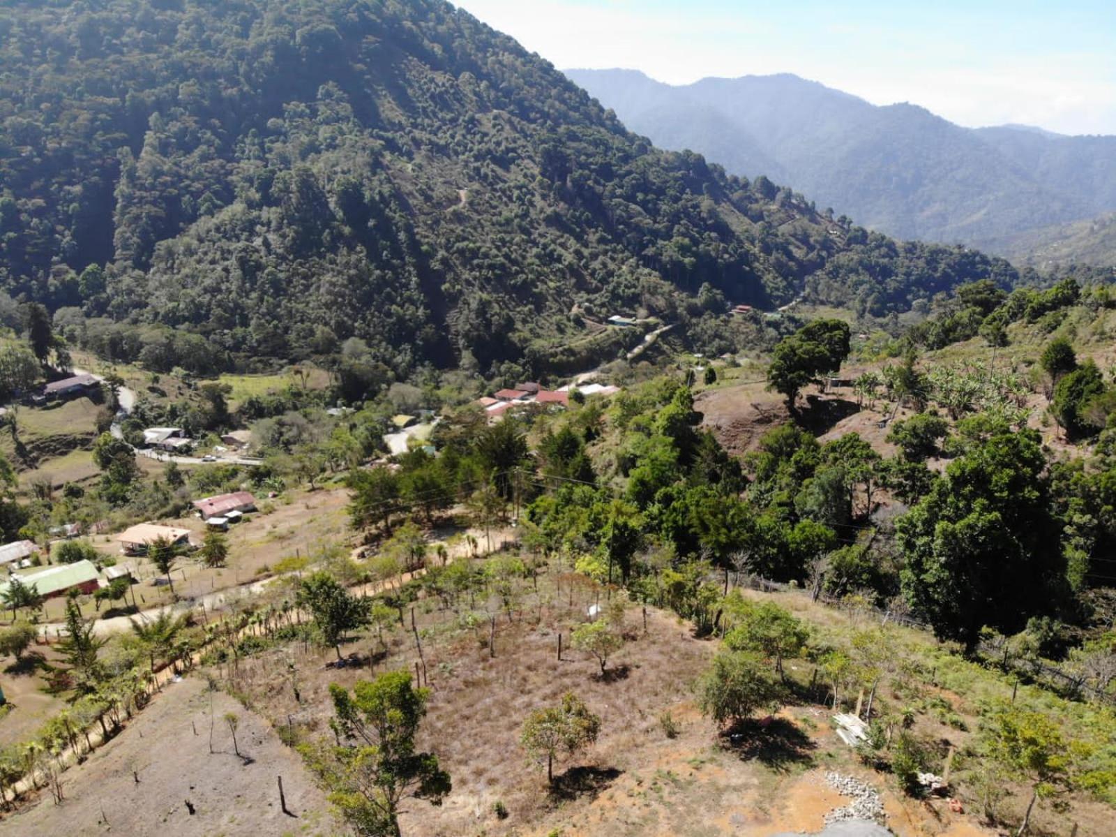 Mario'S Lodge Providencia Copey المظهر الخارجي الصورة